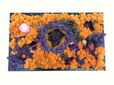 Tablou cu licheni decorativi si flori uscate