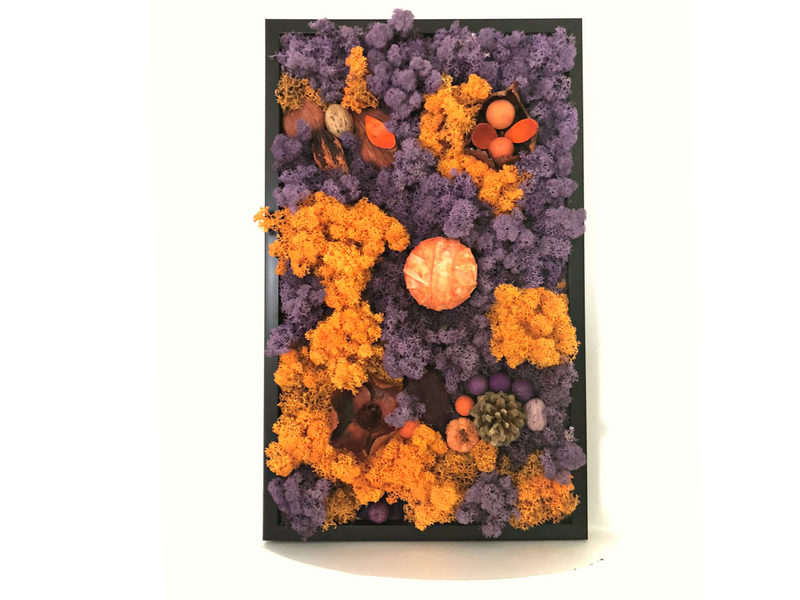 <transcy>Decorative lichens and dried flowers Canva (2)</transcy>